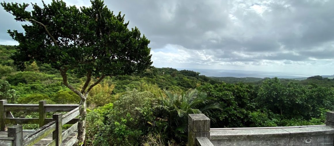 Discovering the Natural Wonders of Sheding Nature Park: A Paradise for Nature Enthusiasts