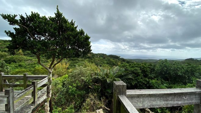 Discovering the Natural Wonders of Sheding Nature Park: A Paradise for Nature Enthusiasts