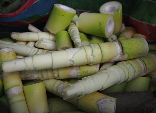 cleaned bamboos in kenting
