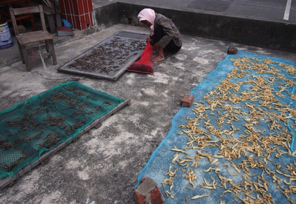kenting resident drying radish