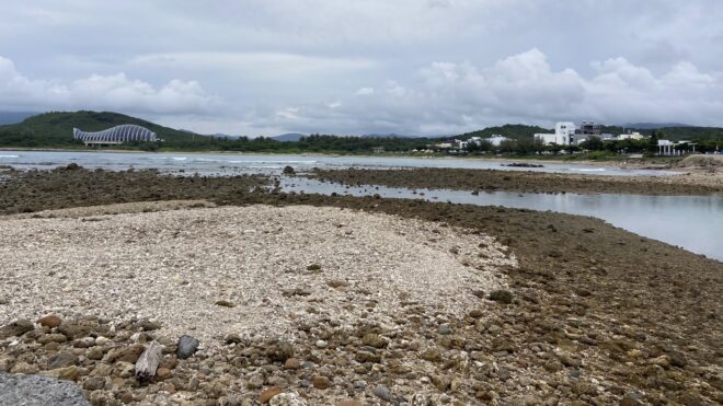 Coastal Animal Diversity in Houwan