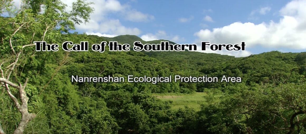Call of the Southern Forest: Nanrenshan Ecological Protection Area