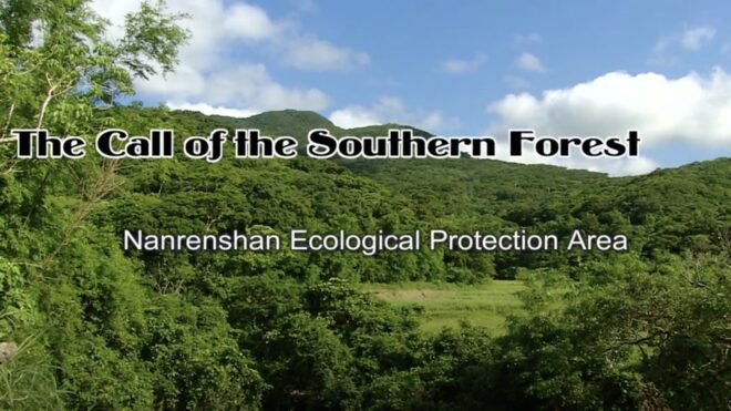 Call of the Southern Forest: Nanrenshan Ecological Protection Area