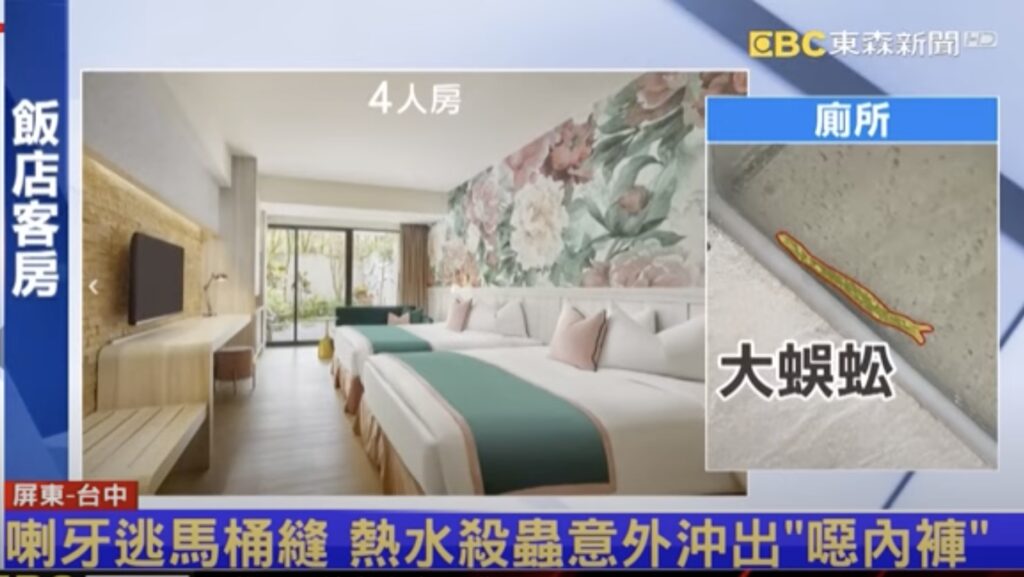 centipede in the hotel room kenting
