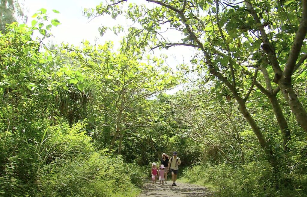 longkeng natural trail