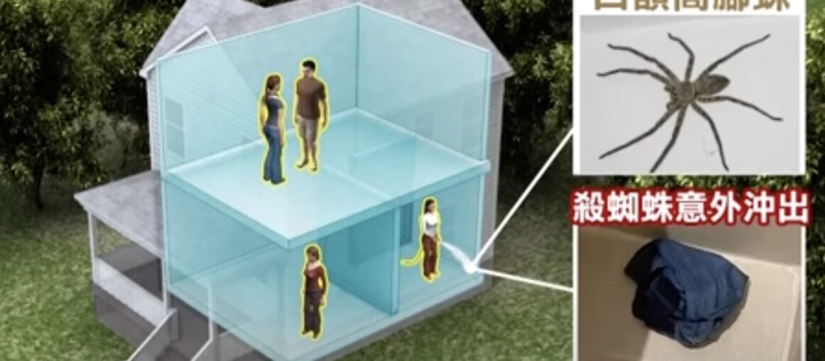 200,000 NTD for rent Villa in Kenting: Cockroaches and Centipedes Crawl in the Bathroom, and someone's underwear is on the ground.