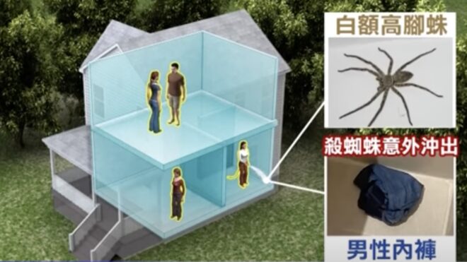 200,000 NTD for rent Villa in Kenting: Cockroaches and Centipedes Crawl in the Bathroom, and someone's underwear is on the ground.