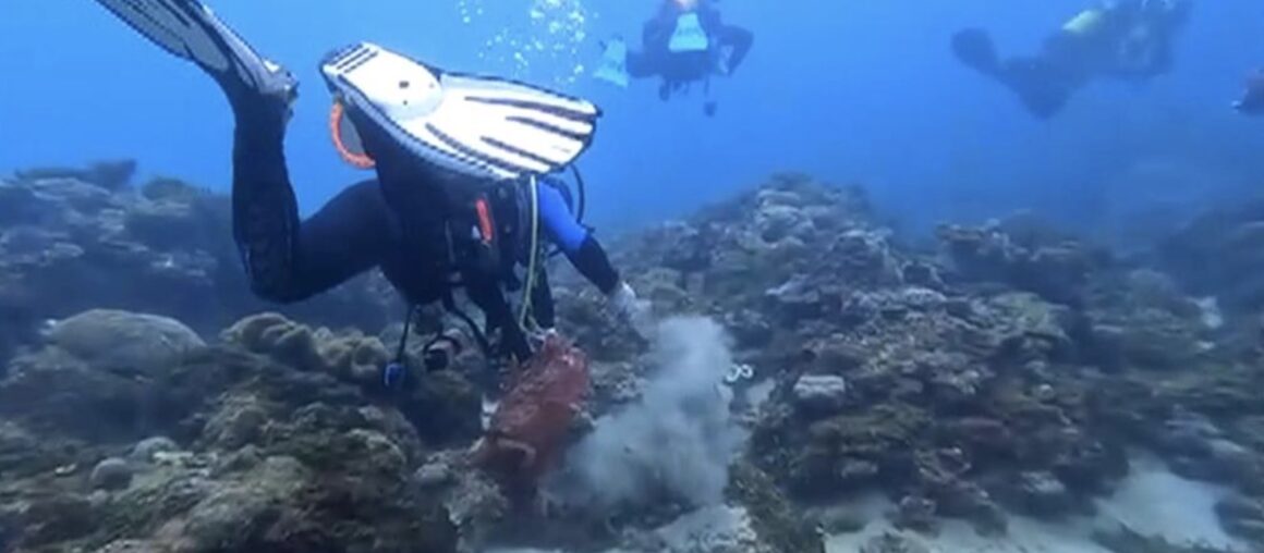Clean Ocean in Kenting: 136 divers go underwater to pick up garbage, reducing 70 kilograms of waste compared to previous years