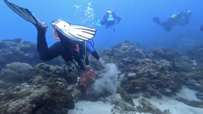 Clean Ocean in Kenting: 136 divers go underwater to pick up garbage, reducing 70 kilograms of waste compared to previous years