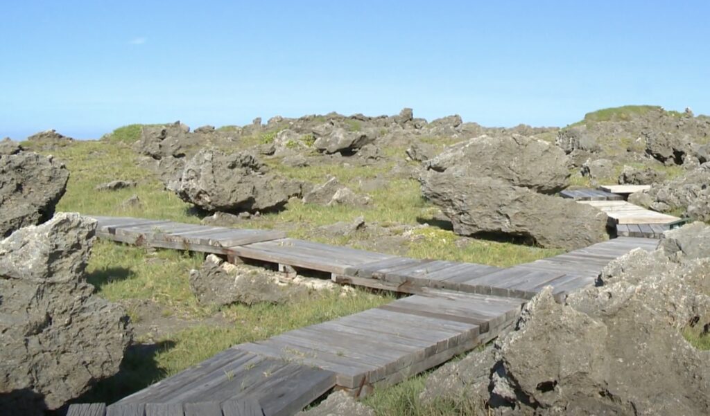 wooden trail at longkeng