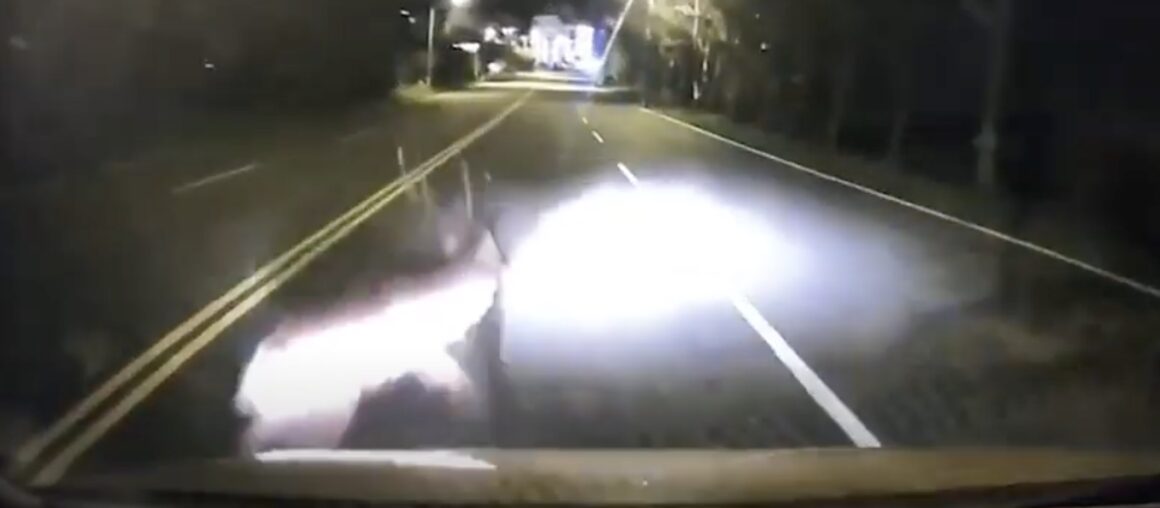 One more case of Formosan Sika Deer colliding with a car in Kenting