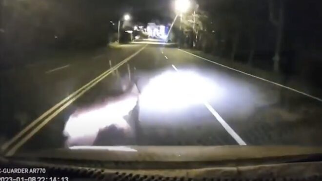 One more case of Formosan Sika Deer colliding with a car in Kenting