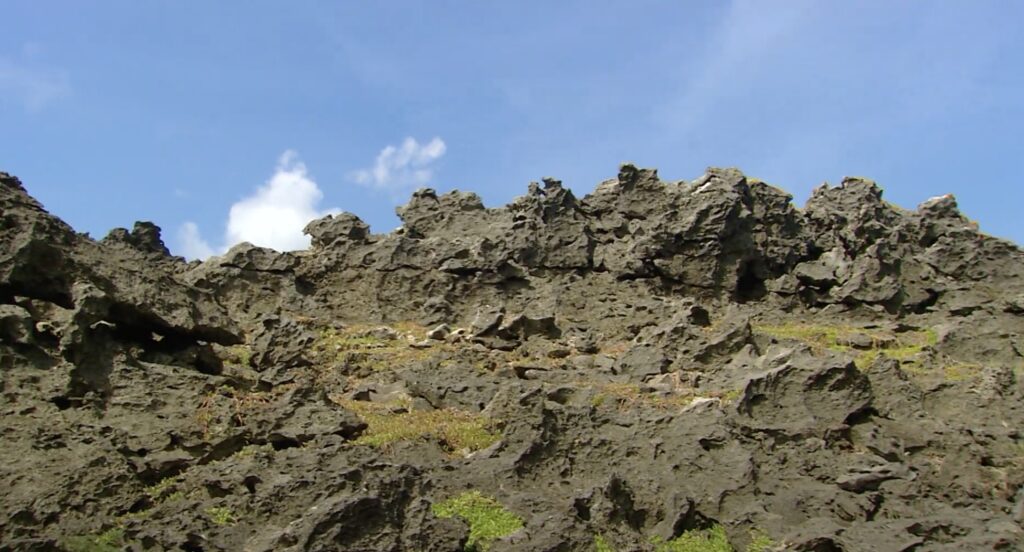 longkeng natural reserve coast