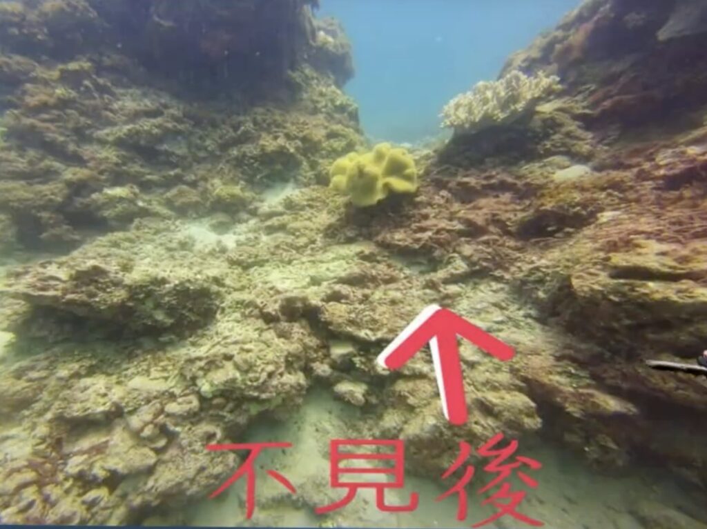 giant clam missing in houbihu