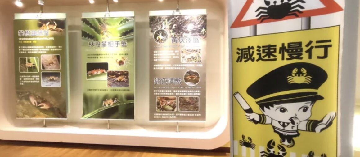 Why Kenting is a world-class land crab research sanctuary