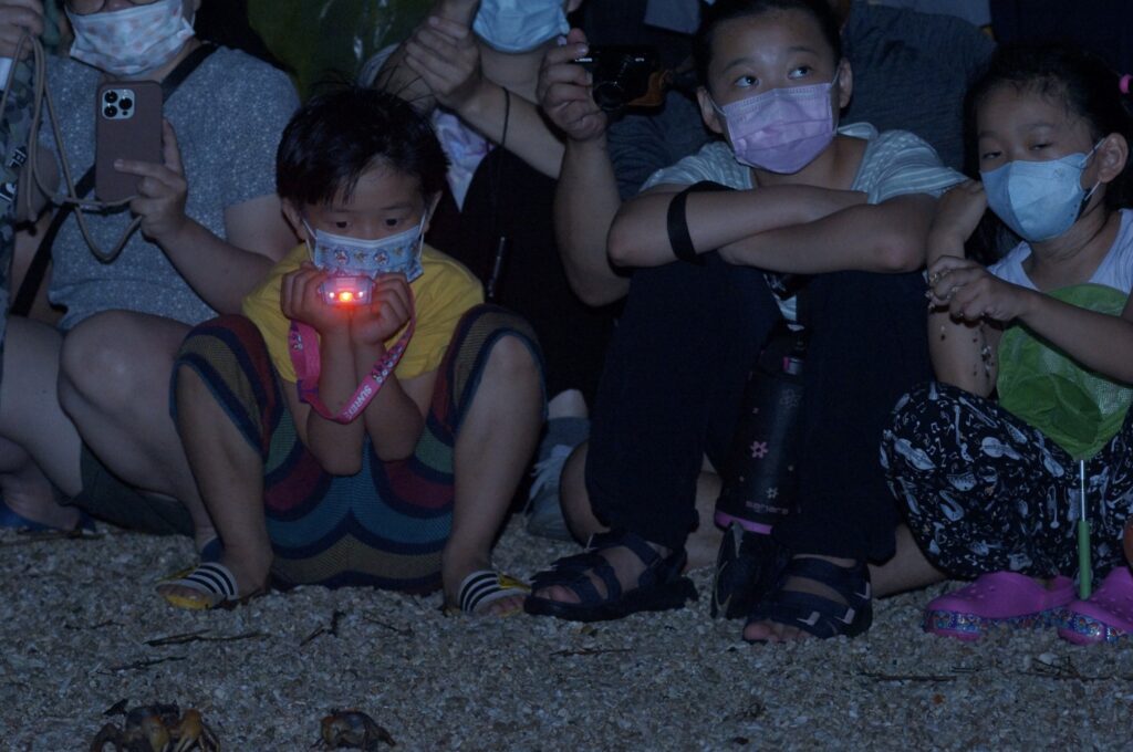 kids watch crabs in kenting