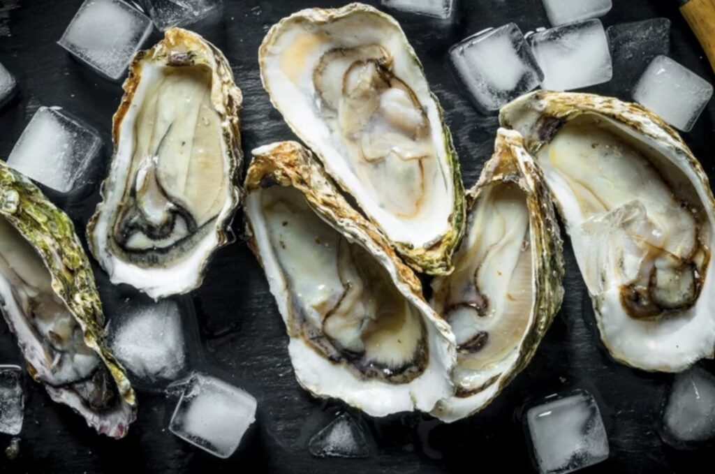 oysters in kenting restaurant