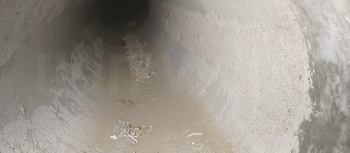 Do crabs use an NTD 60 Million Underground Land Crab Corridor in Kenting?