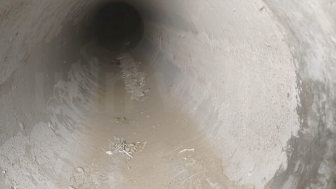 Do crabs use an NTD 60 Million Underground Land Crab Corridor in Kenting?
