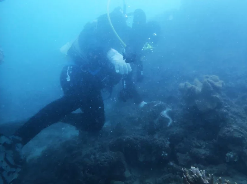 diver inspects chiton in houbihu