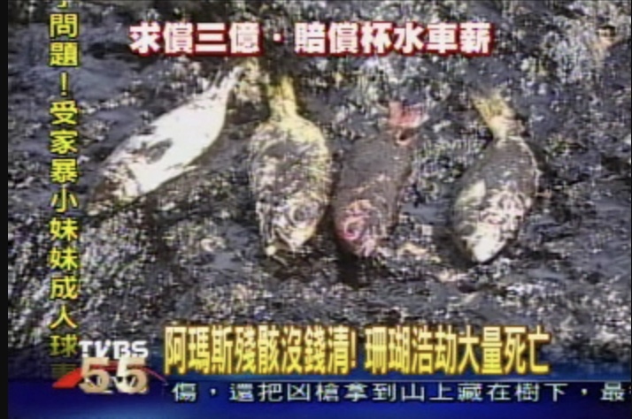 oil spill killed fish in longkeng