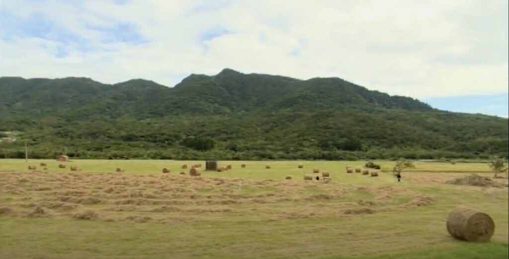 pastoral scenery of Manzhou