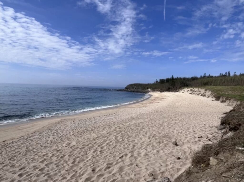 beach after cleanup