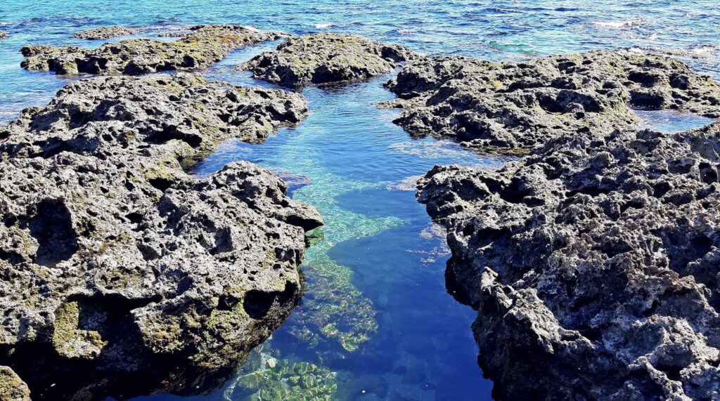 banana bay ecological reserve