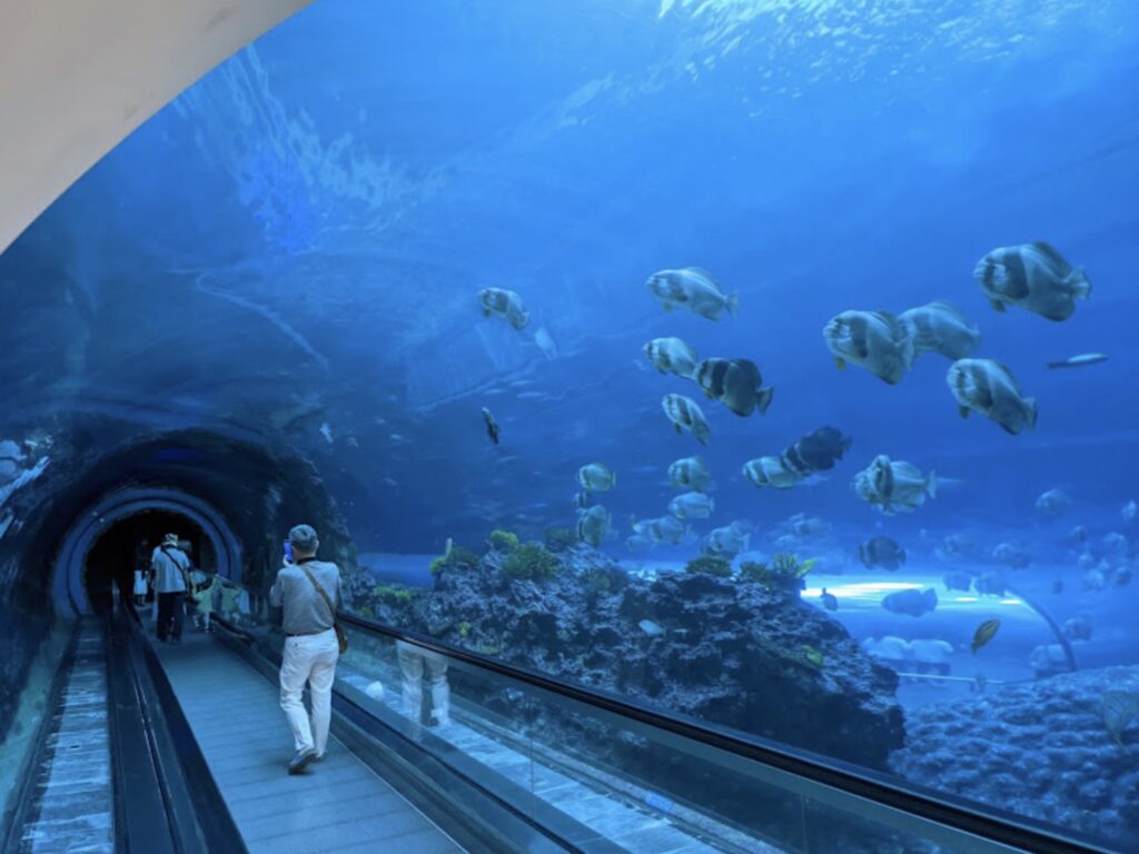 National Museum of Marine Biology and Aquarium