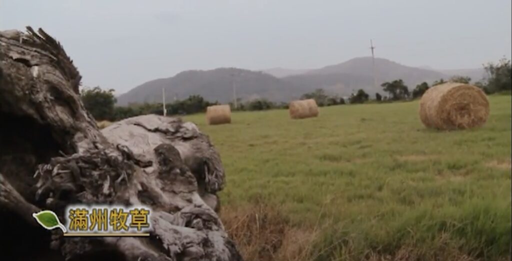 Pangula Grassland in Manzhou