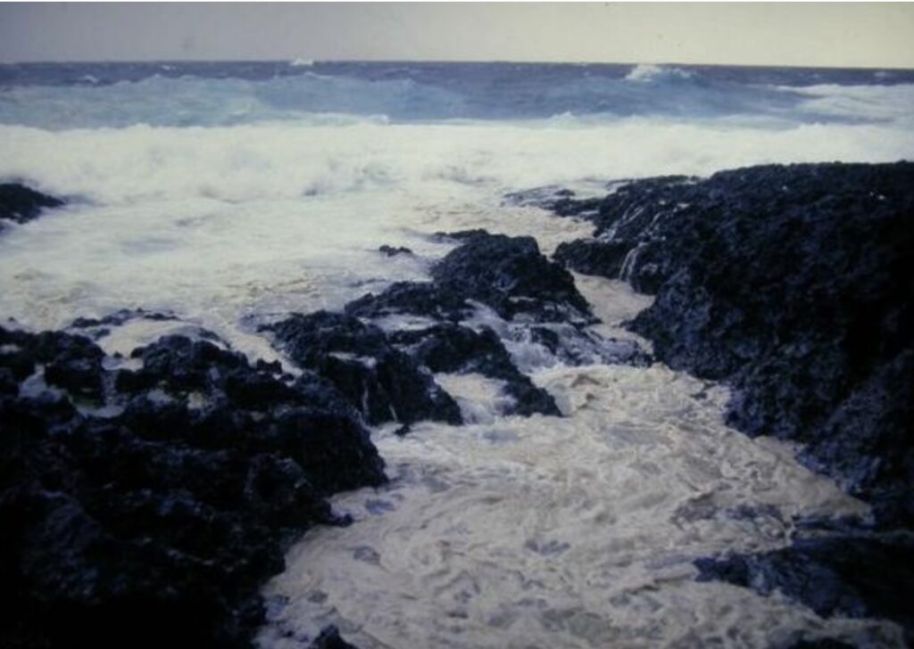 oil spill disaster after amorgos crash