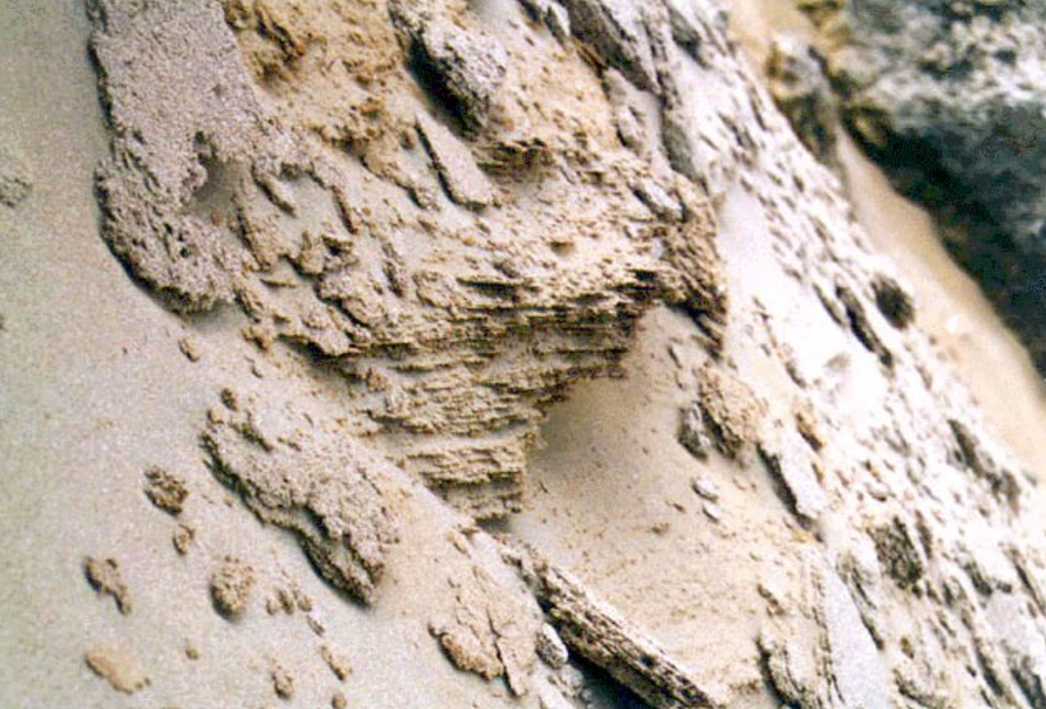 sand dunes fengchuisha