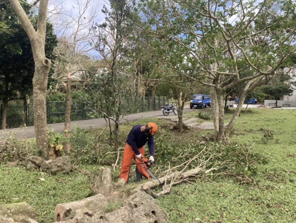 cleaning up the broken trees in kenting after typhoon