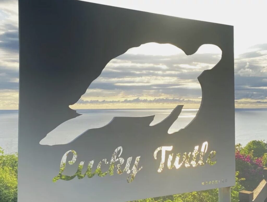 lucky turtle in guanshan