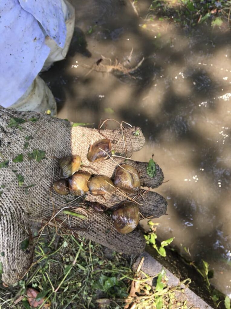clam picking experience in longshui