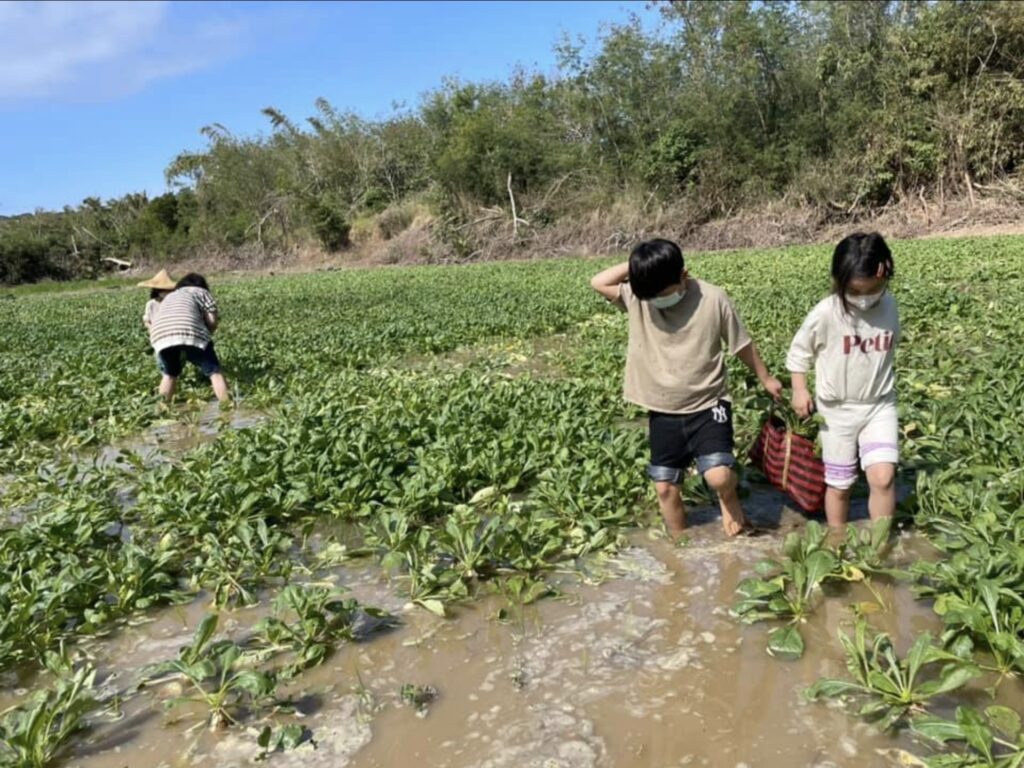longshui ecotourism