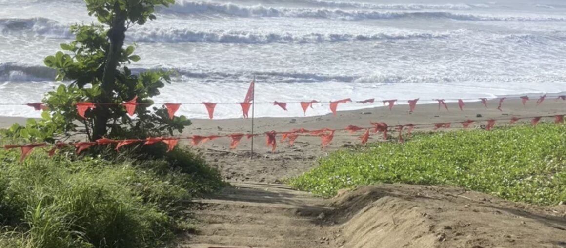 Typhoon Koinu Issues Sea Warning: Precautionary Closure for Kenting's Nanwan, Baishawan, and Yucun Park