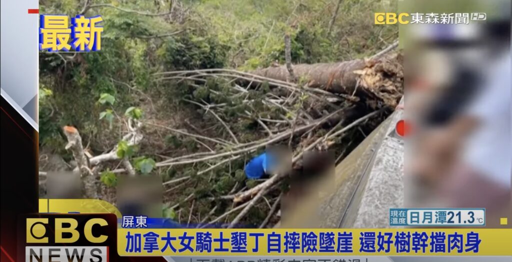 a tree that saved life