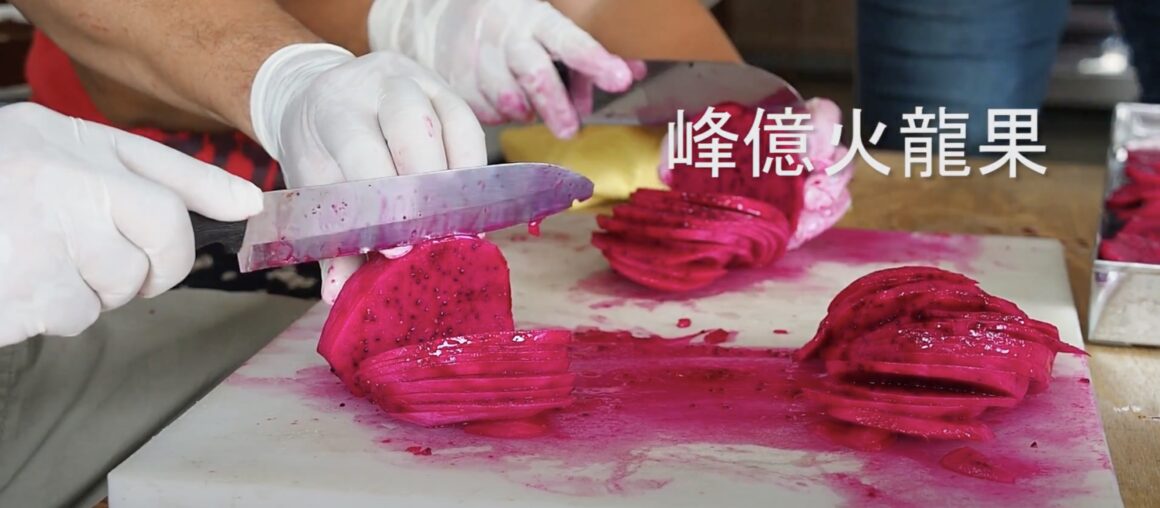 Checheng's Hidden Gem: A Guide to Exquisite Dragon Fruit Cultivation