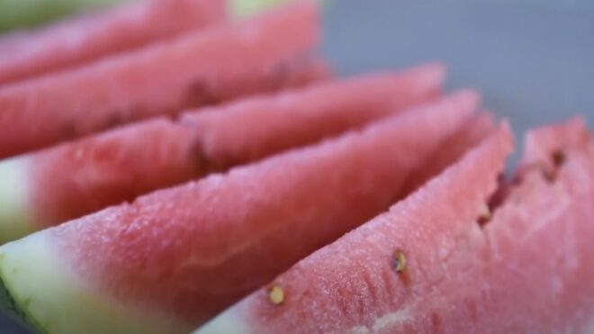 Sihchongxi's Sweet Secret: The Winter Watermelon Harvest in Checheng