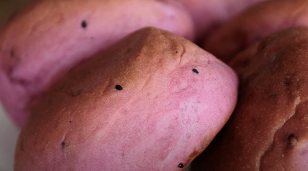 dried dragon fruit in checheng township taiwan