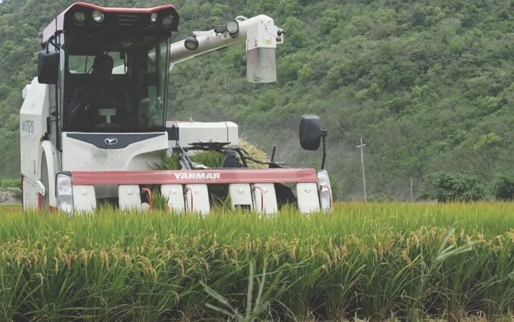 Sihchongxi Hot Spring Rice