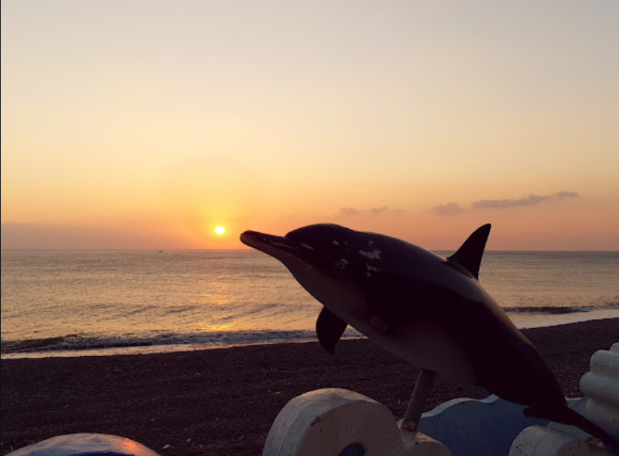 Dolphin at Dolphin Bay rest Station in Fangshan