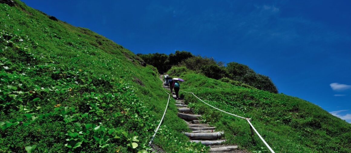 Discovering the Wilds of Xuhai Guanyinbi Nature Reserve