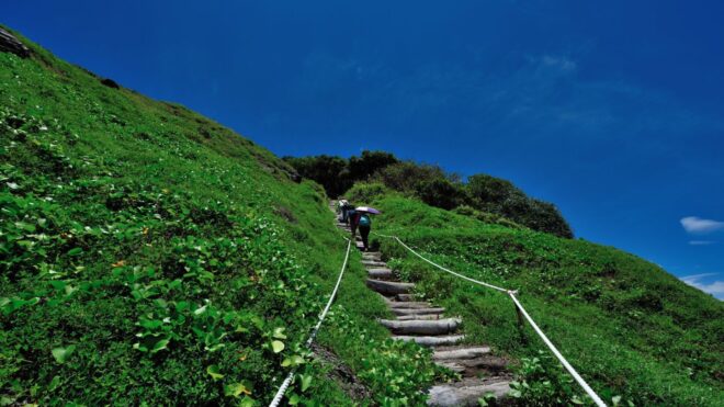 Discovering the Wilds of Xuhai Guanyinbi Nature Reserve