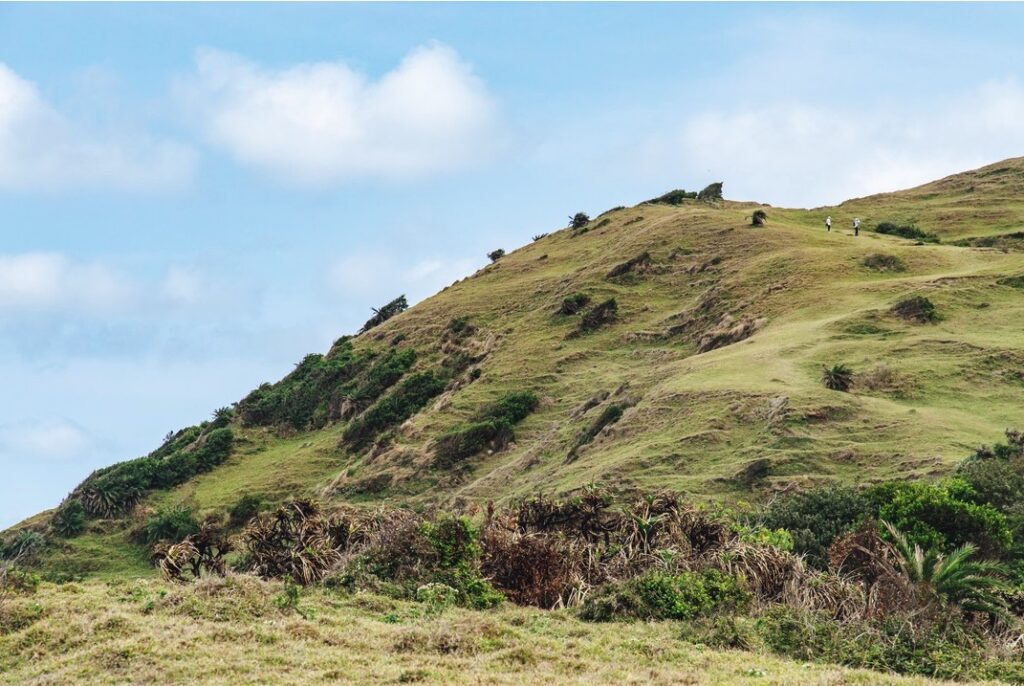 鼻頭草原 Bitou Grassland