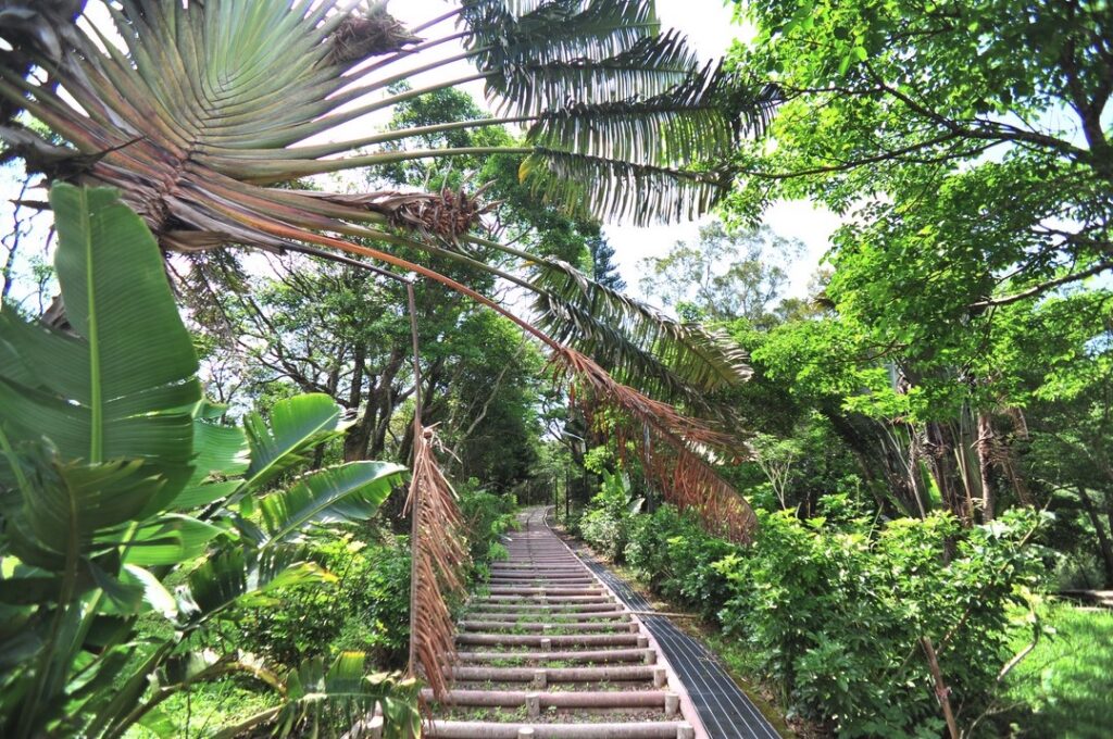 牡丹公園與牡丹池山 Mudan Park