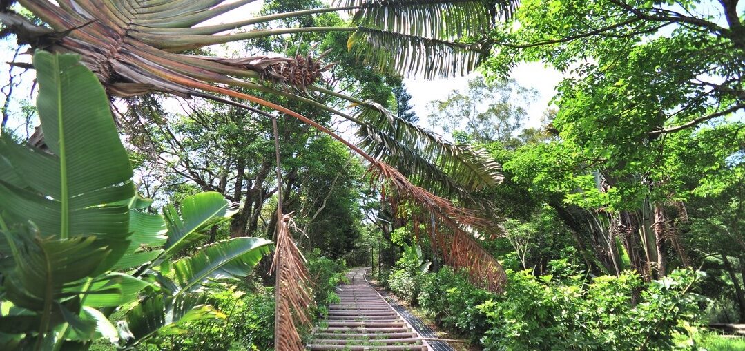 From Misty Peaks to Lush Valleys: Experiencing Mudan Park and Mudanchi (Pond) Mountain