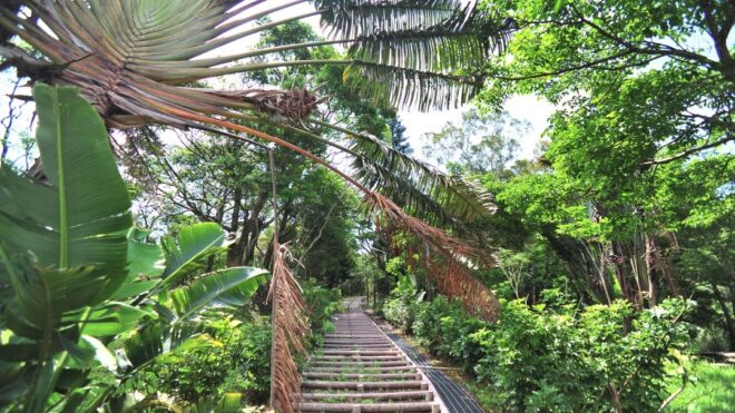 From Misty Peaks to Lush Valleys: Experiencing Mudan Park and Mudanchi (Pond) Mountain