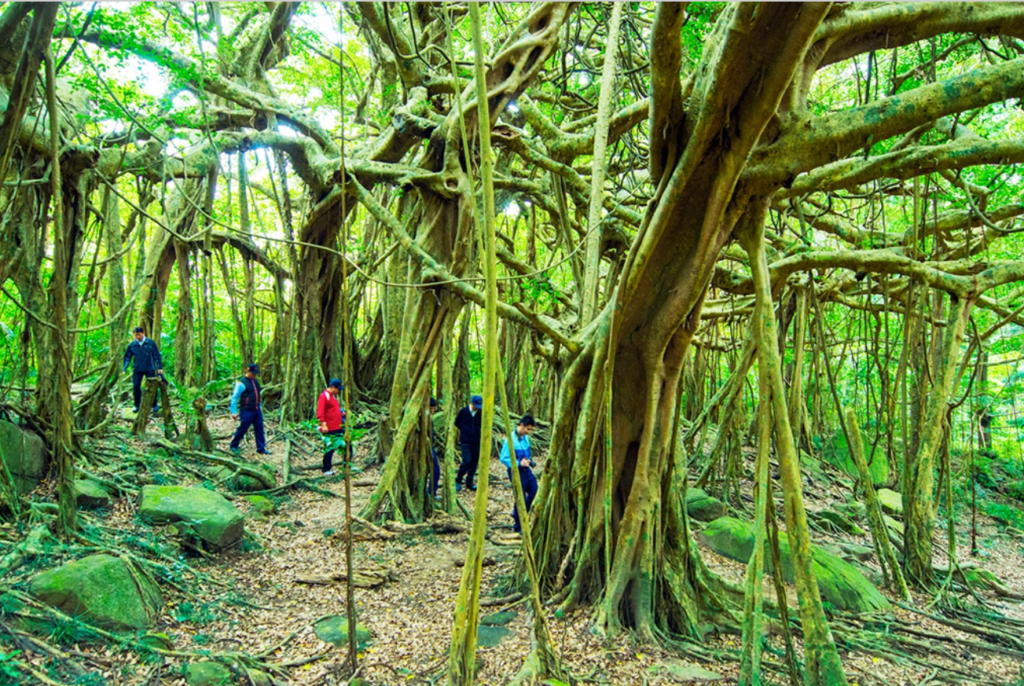 kenting national forest recreation area